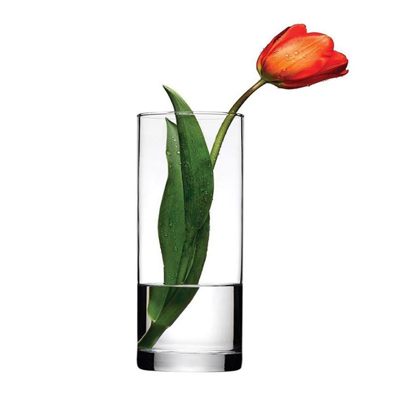 Paşabahçe 43767 Botanica Vazo, dekoratif cam urun