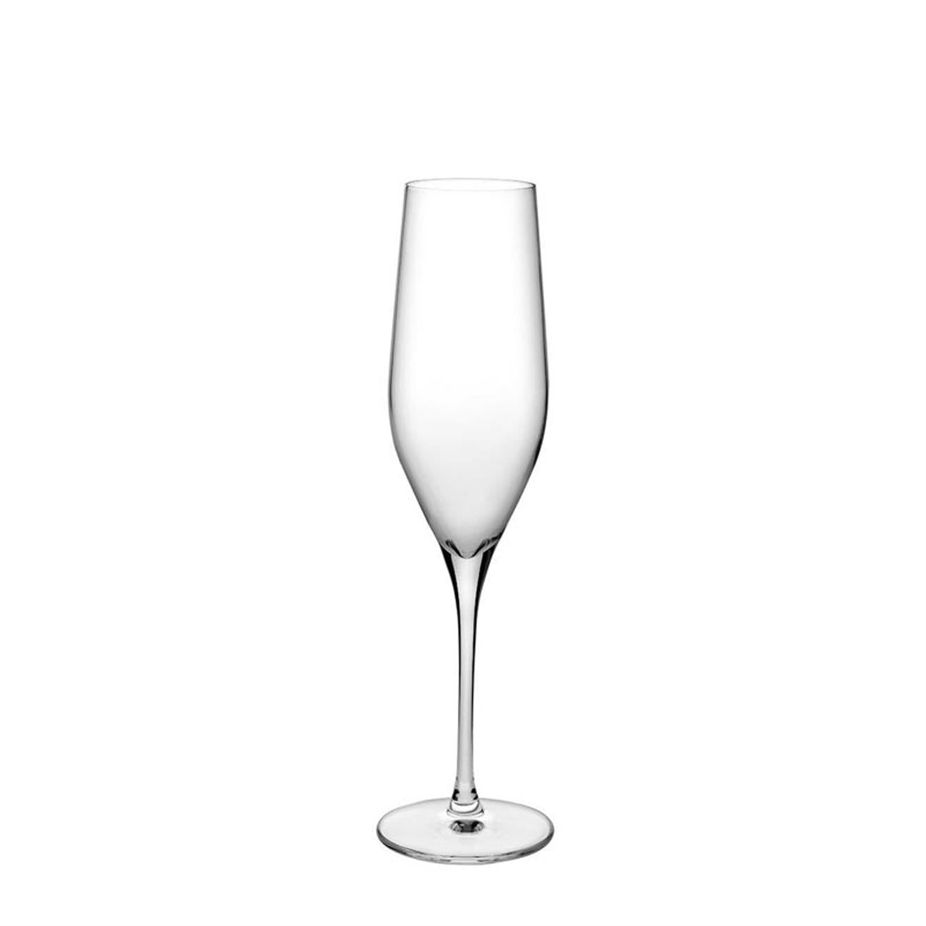 Nude 66079 Vinifera Şampanya Kadehi, sampanya kadehi