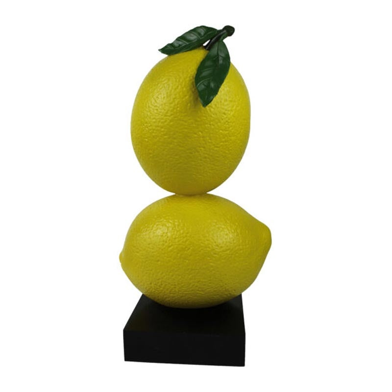 biradli grvg118 dekoratif 2li limon 21x18x55 cm profesyonel mutfak ekipmani